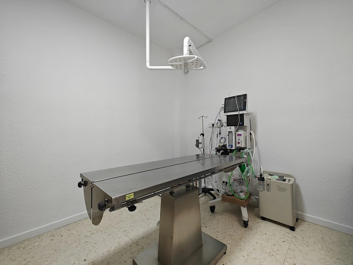 Quirófano